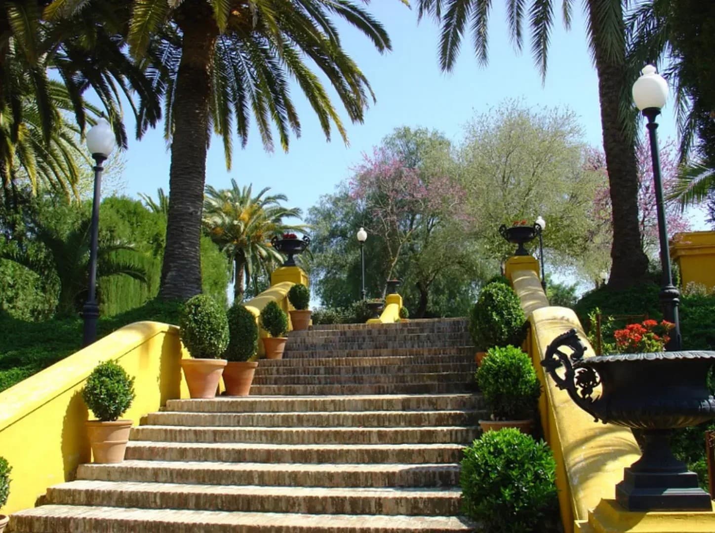 CORTIJO TORRE DE LA REINA - imagen 16