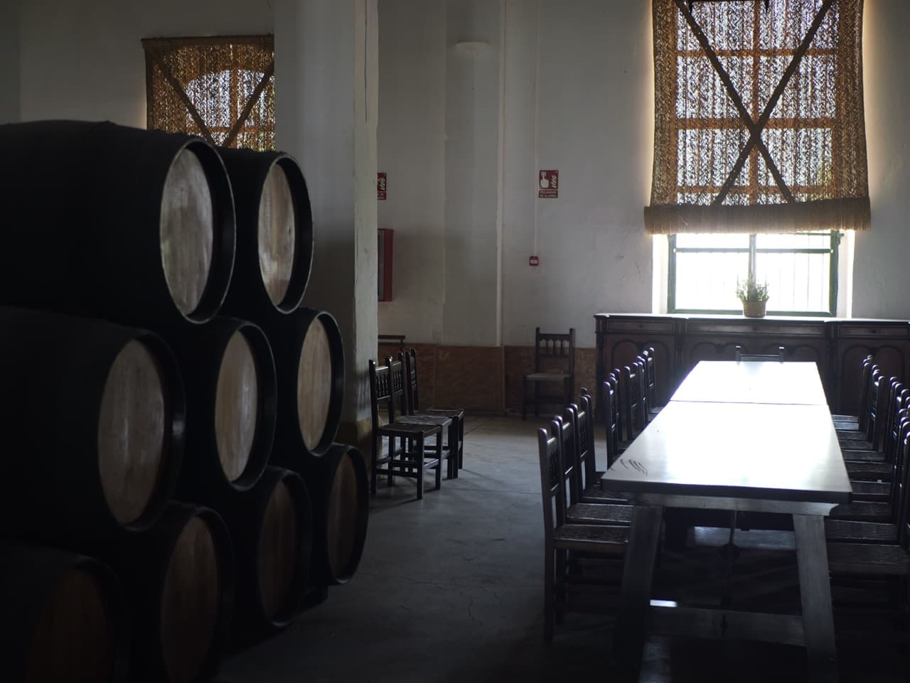 FINCA CERRO DE OBREGON - imagen 6