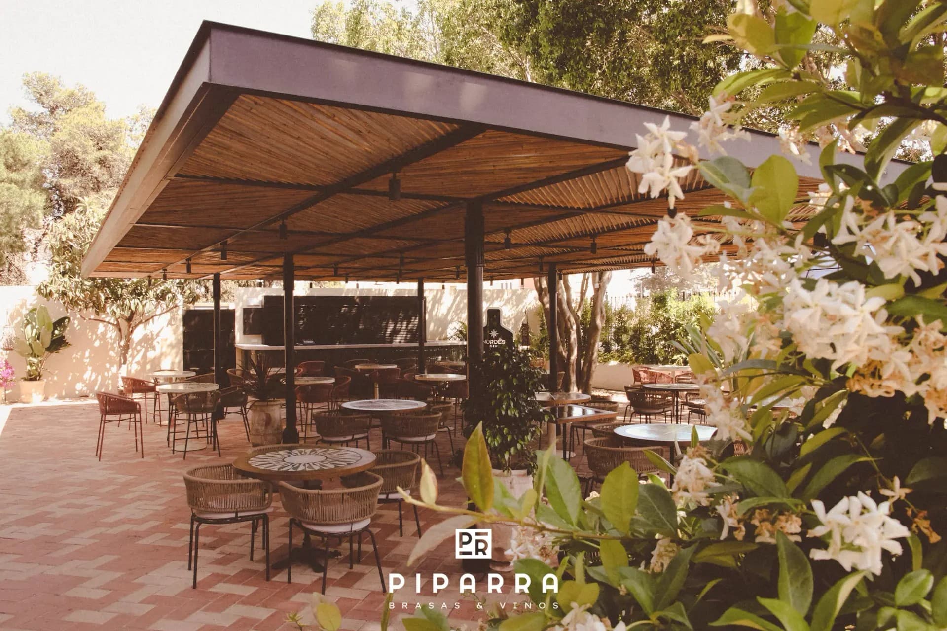 PIPARRA - imagen 6