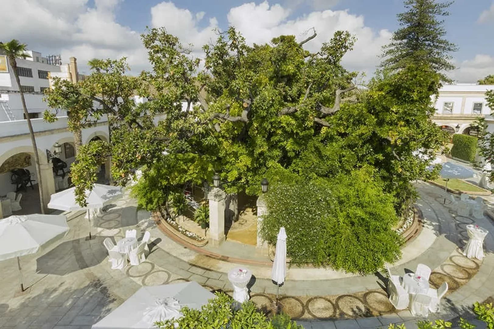 BODEGAS OSBORNE - imagen 11
