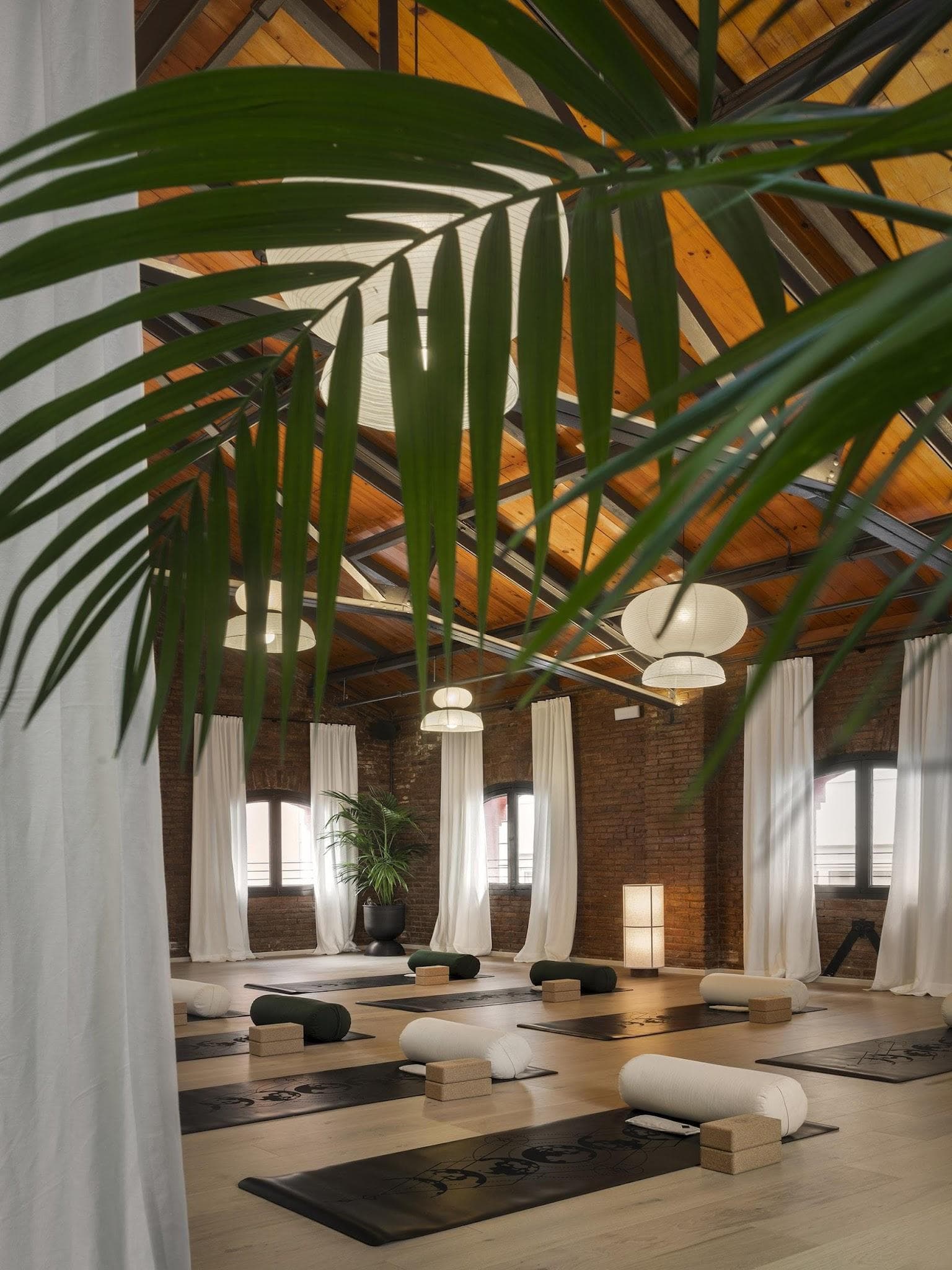 Juno House - Barcelona - imagen 15