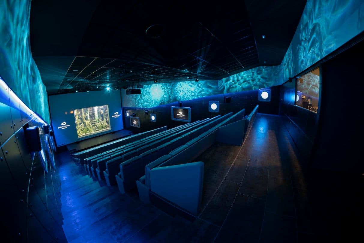 GLOBAL OMNIUM AUDITORIO (ACUARIO SEVILLA) - imagen 10