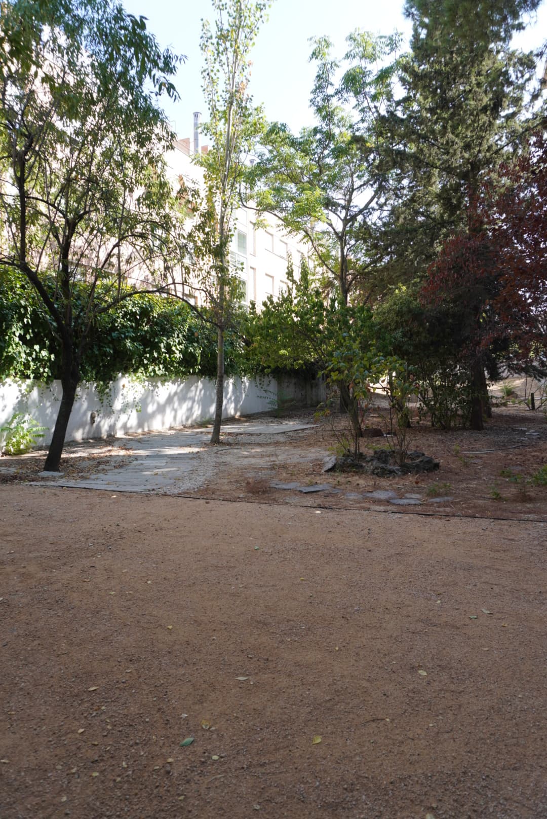 LOCAL CON JARDÍN PRIVADO - imagen 11