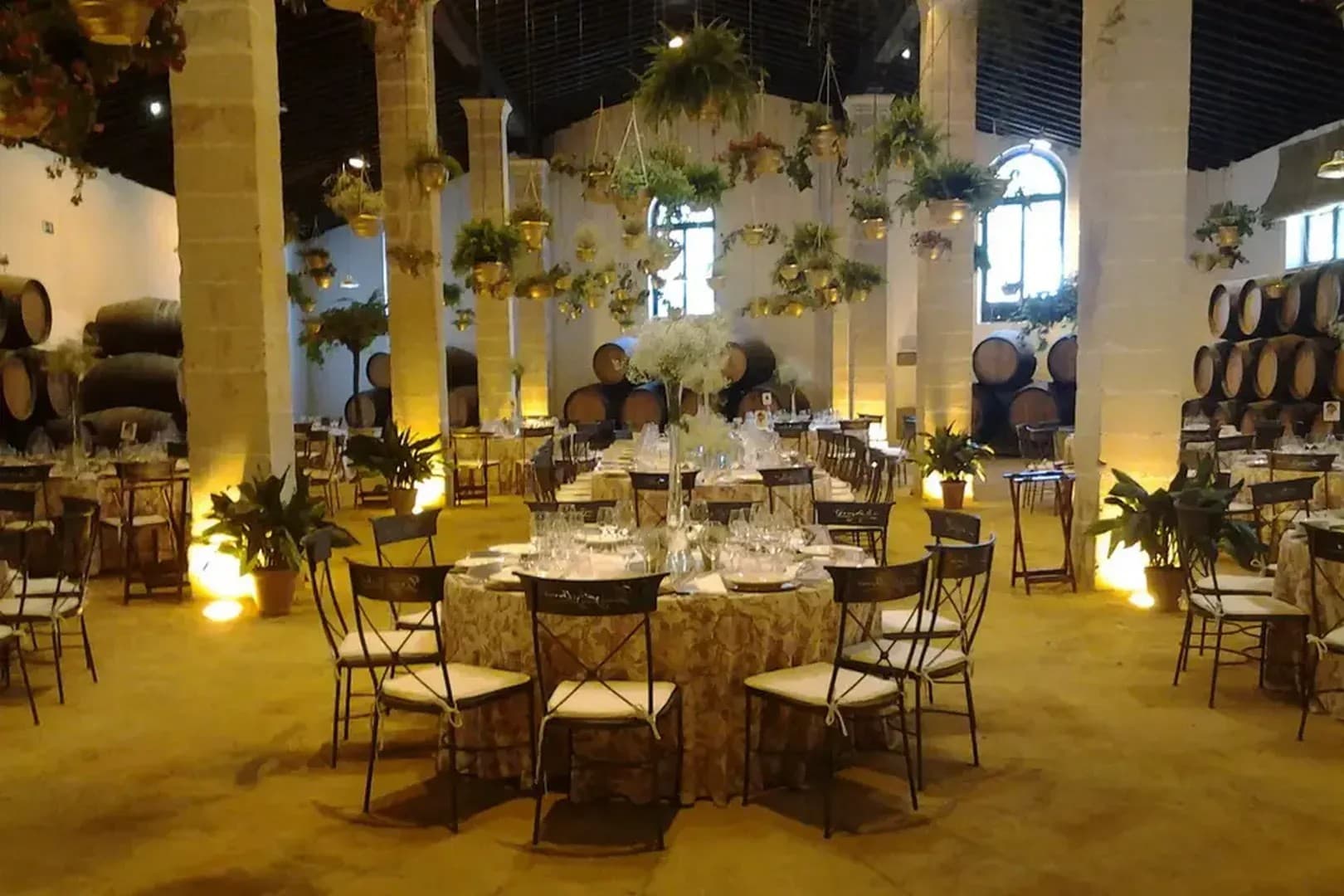 BODEGAS GONZALEZ BYASS - imagen 14