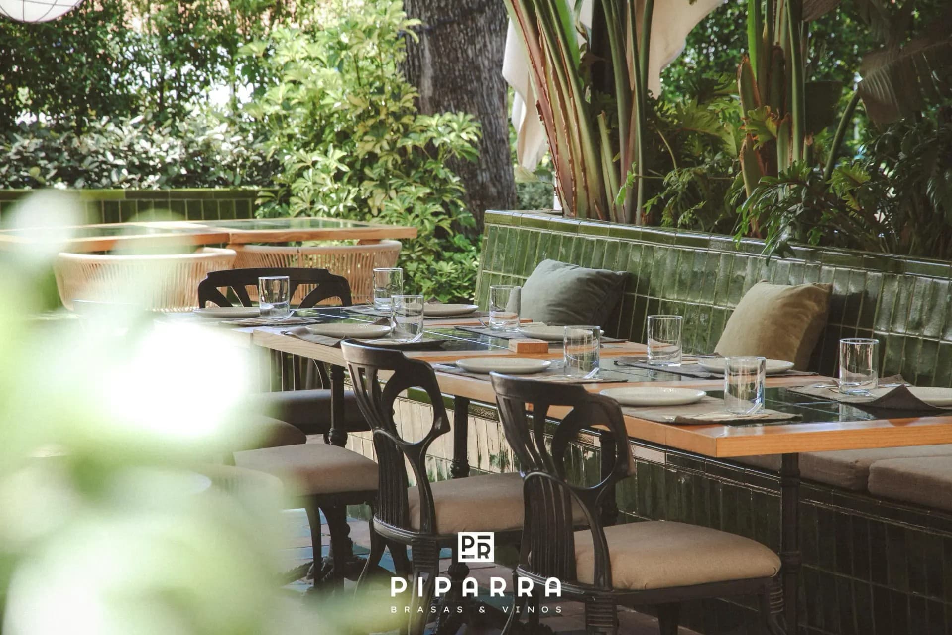 PIPARRA - imagen 11