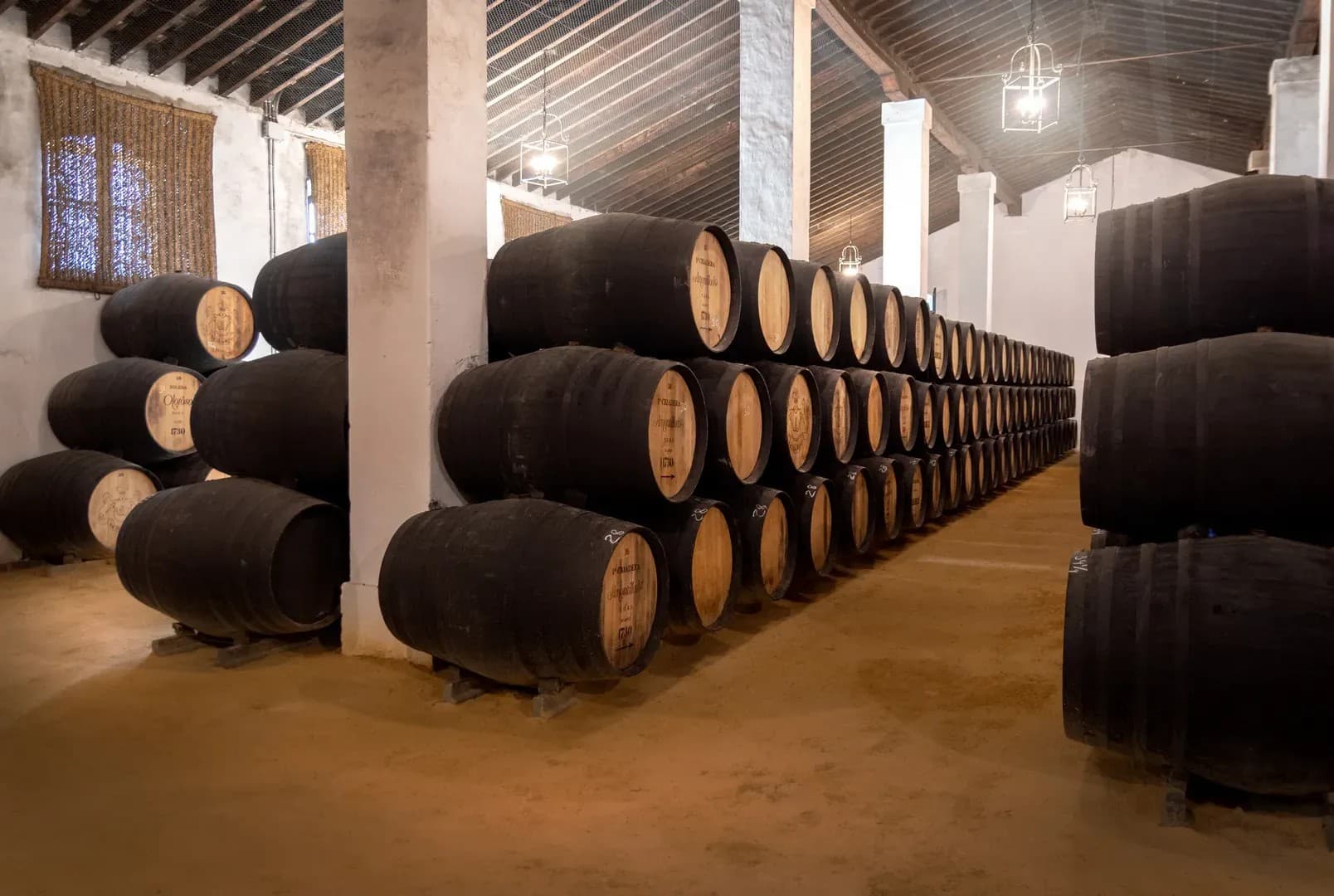 BODEGAS ALVARO DOMECQ - imagen 9