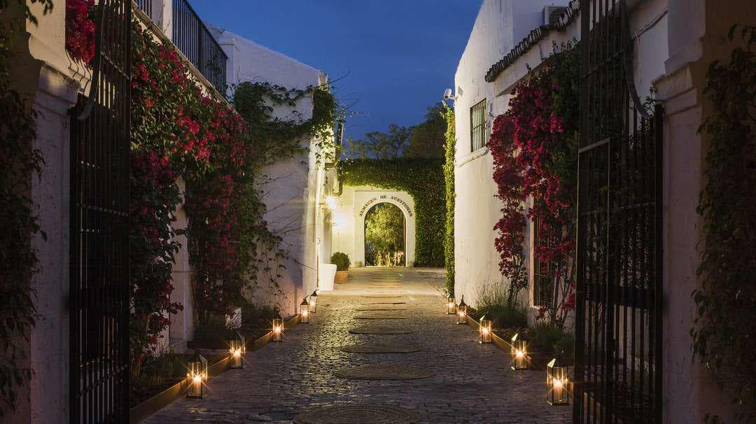 HACIENDA EL CORTIJUELO - imagen 18