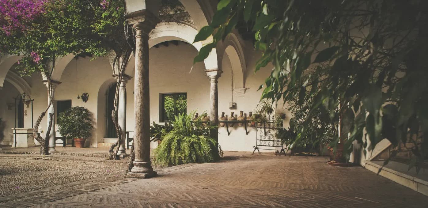 BODEGAS BARBADILLO - imagen 17