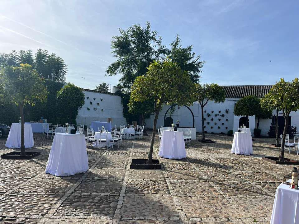 HACIENDA EL CORTIJUELO - imagen 14