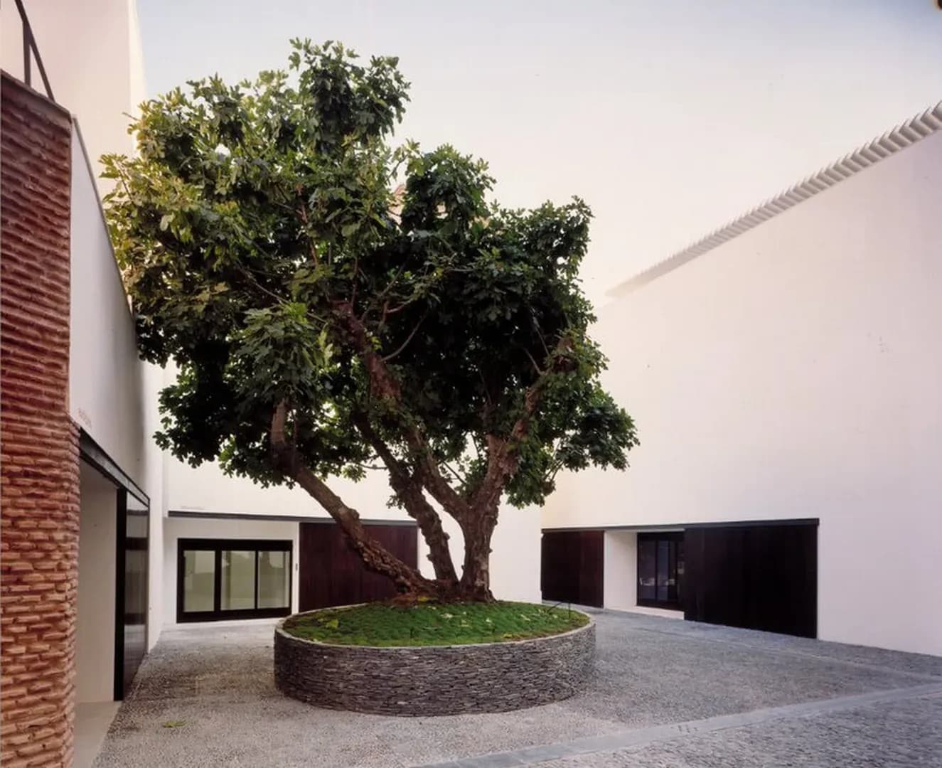 MUSEO PICASSO - imagen 16