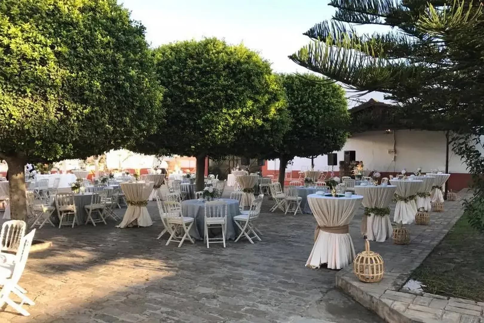 BODEGAS VELEZ - imagen 17