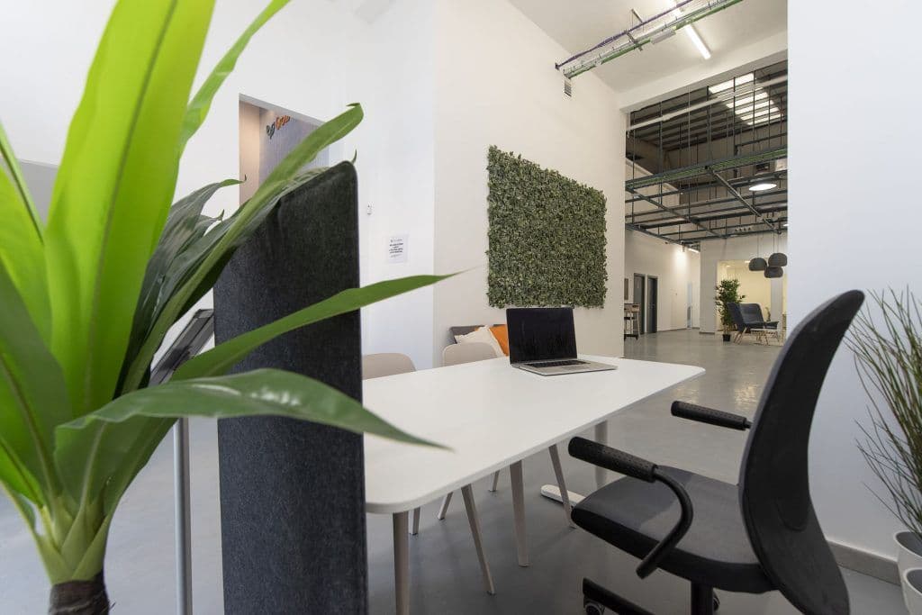 GROW WORKING - imagen 33