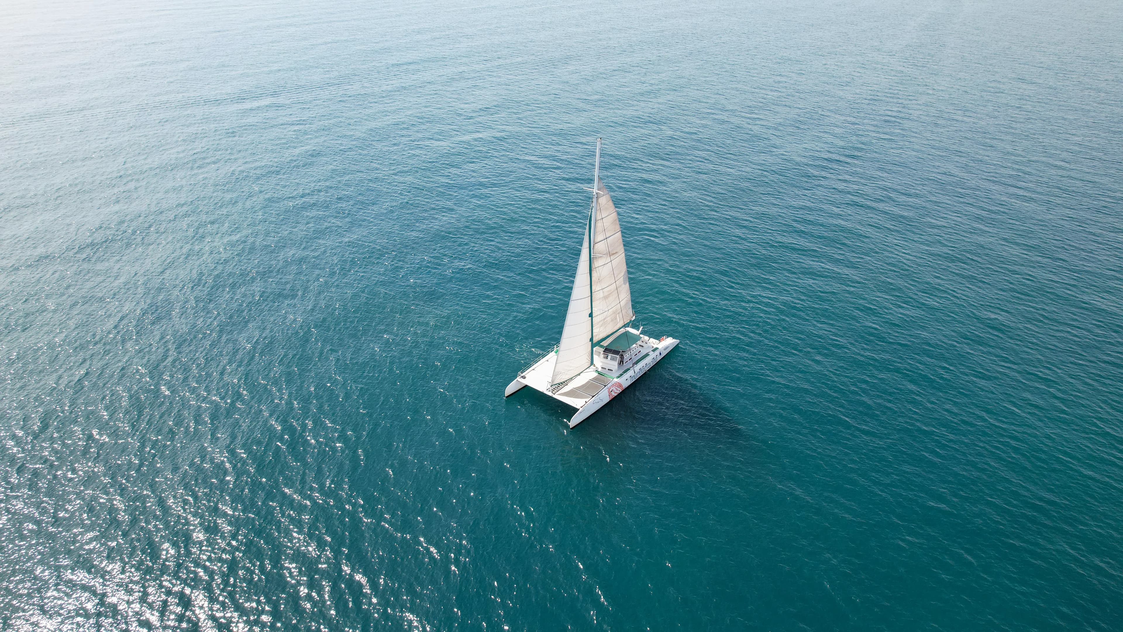 MUNDO MARINO DENIA - imagen 22