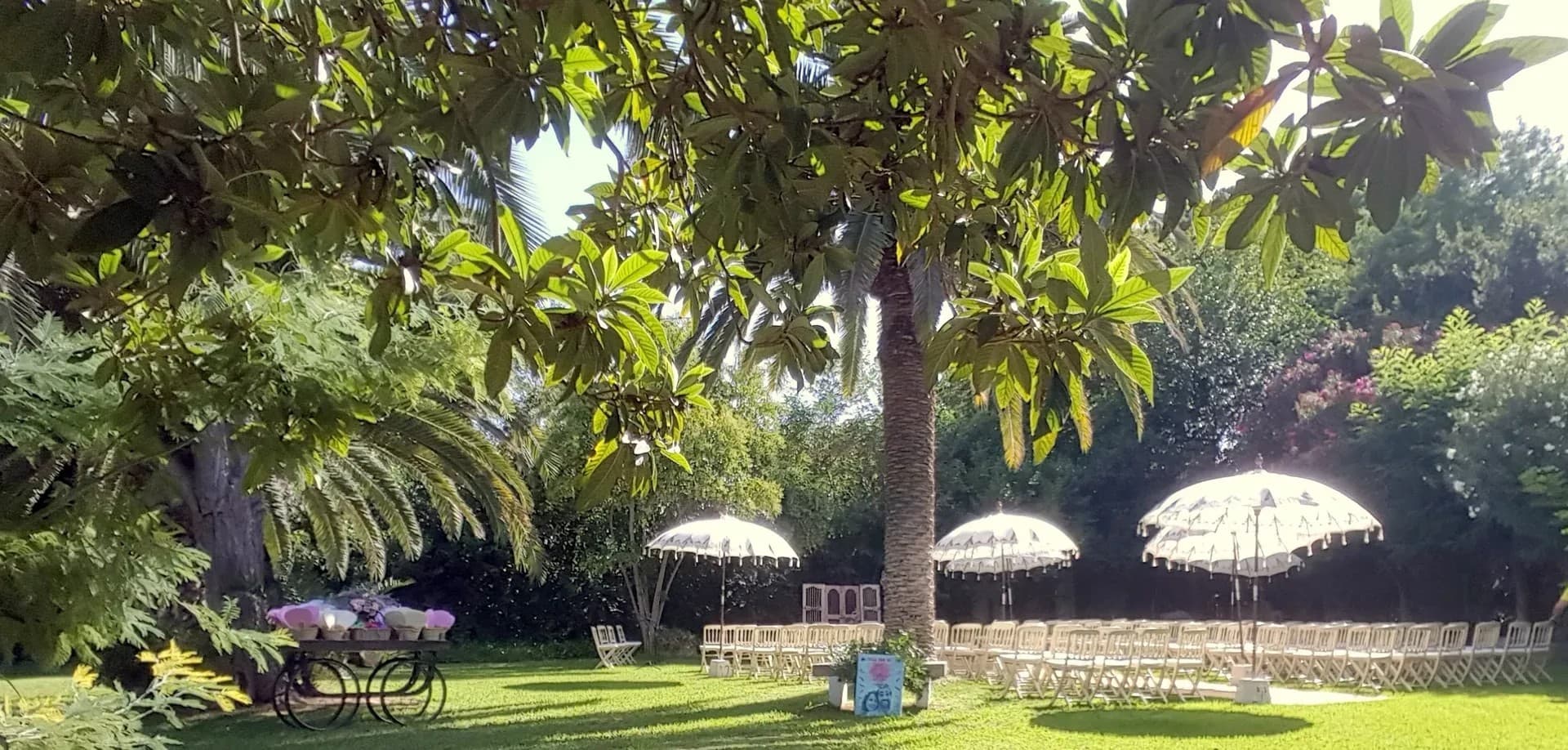HACIENDA LA VARA - imagen 6