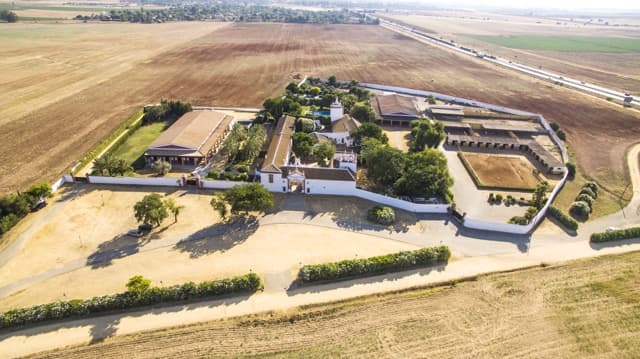 HACIENDA ATALAYA ALTA - imagen 25