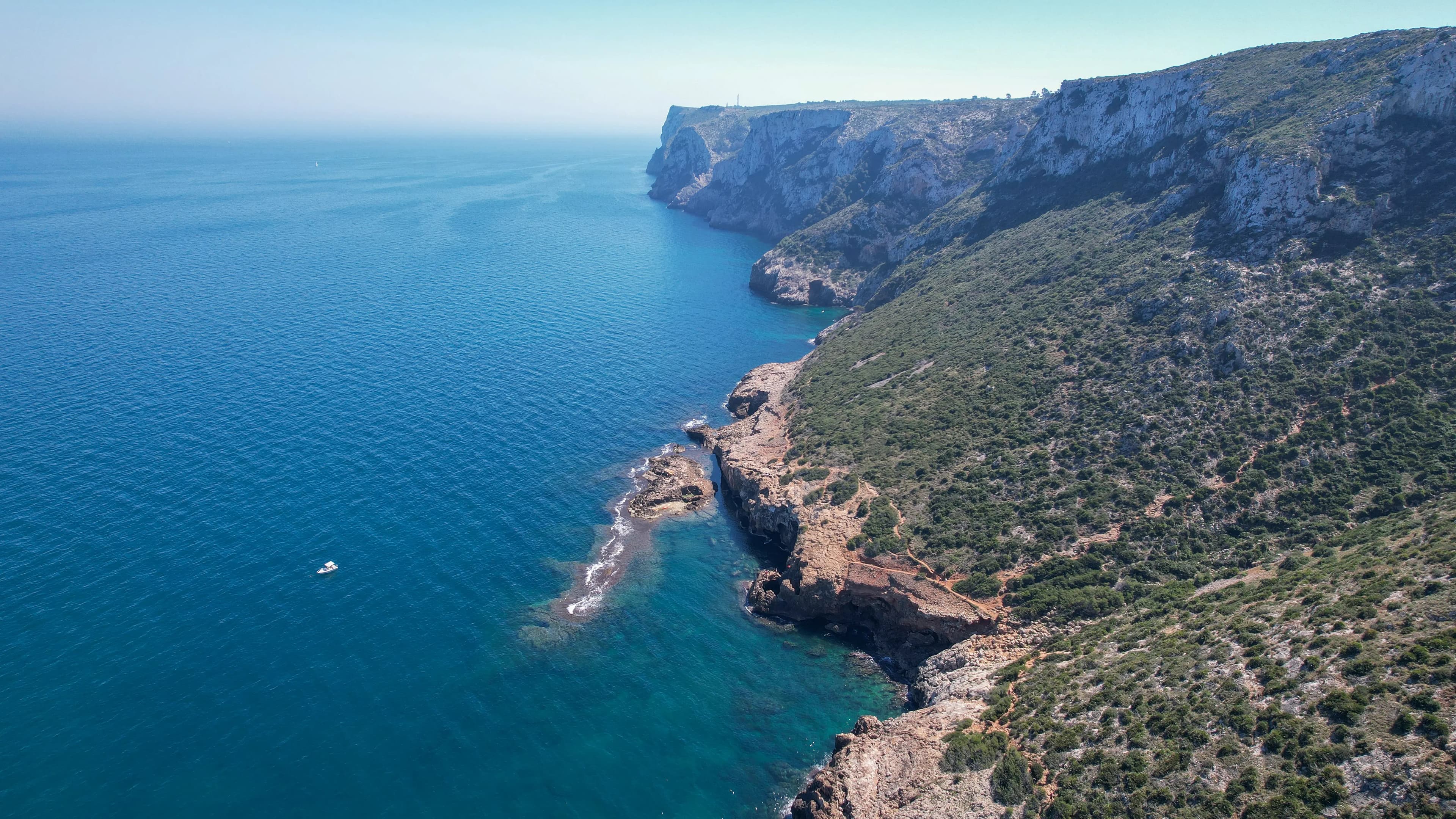 MUNDO MARINO DENIA - imagen 14