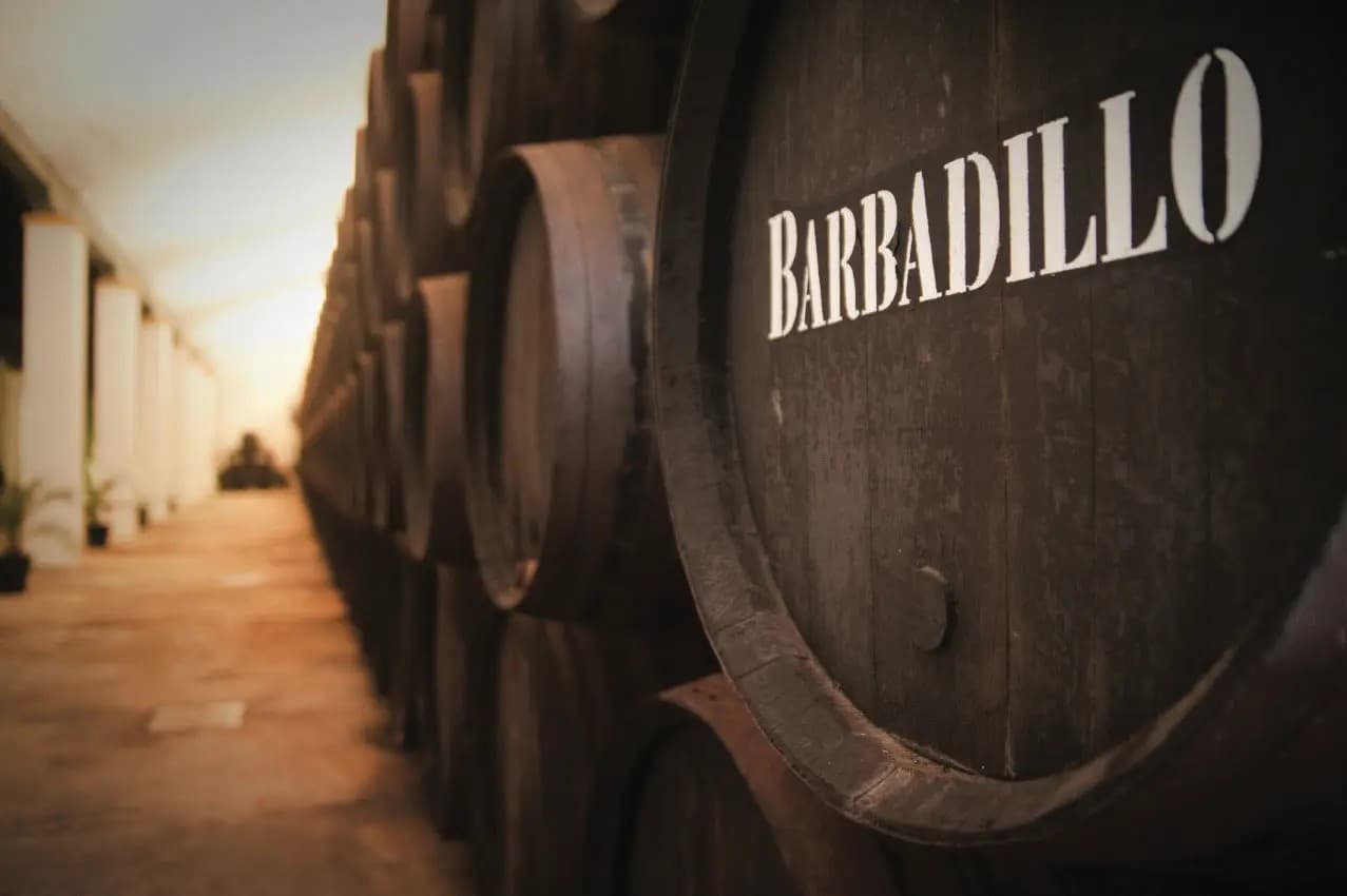 BODEGAS BARBADILLO - imagen 1