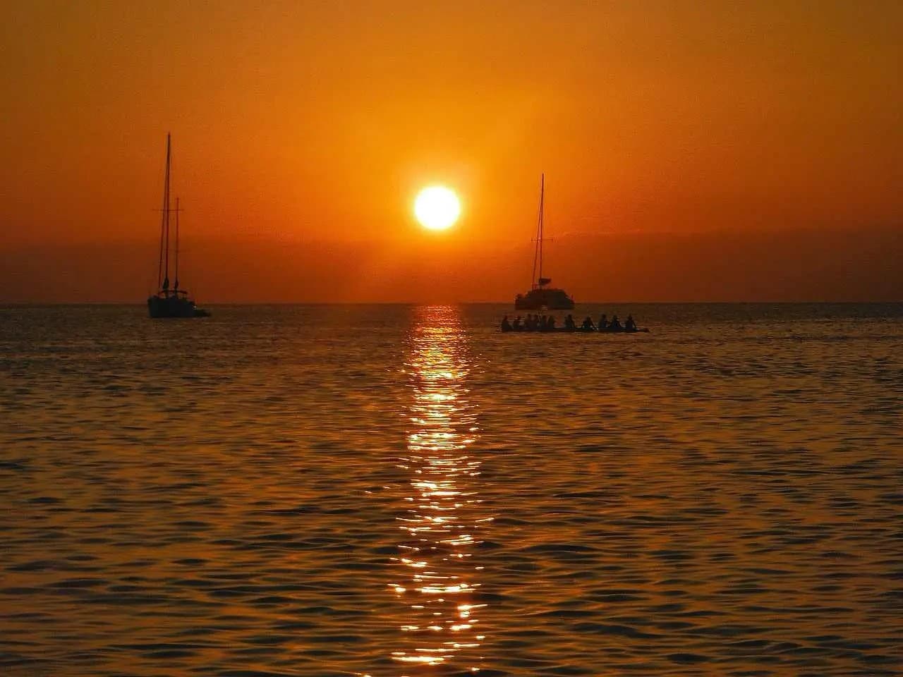 MUNDO MARINO DENIA - imagen 29