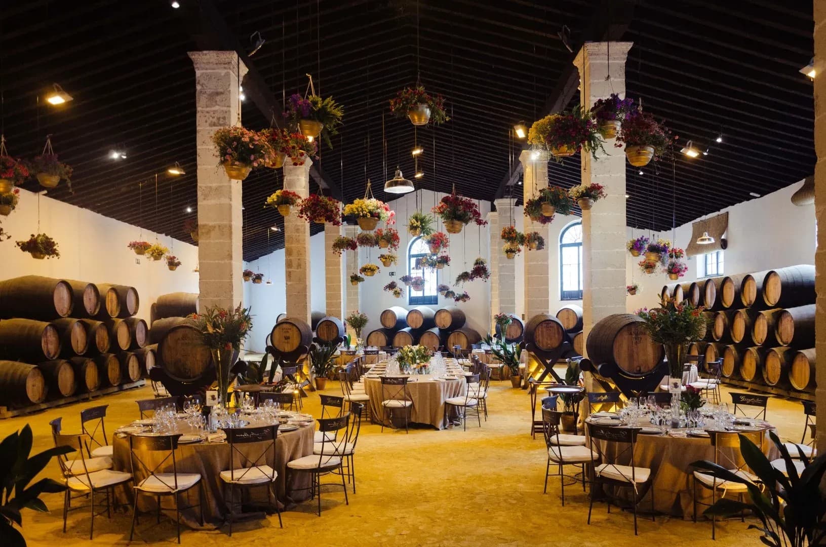 BODEGAS GONZALEZ BYASS - imagen 7