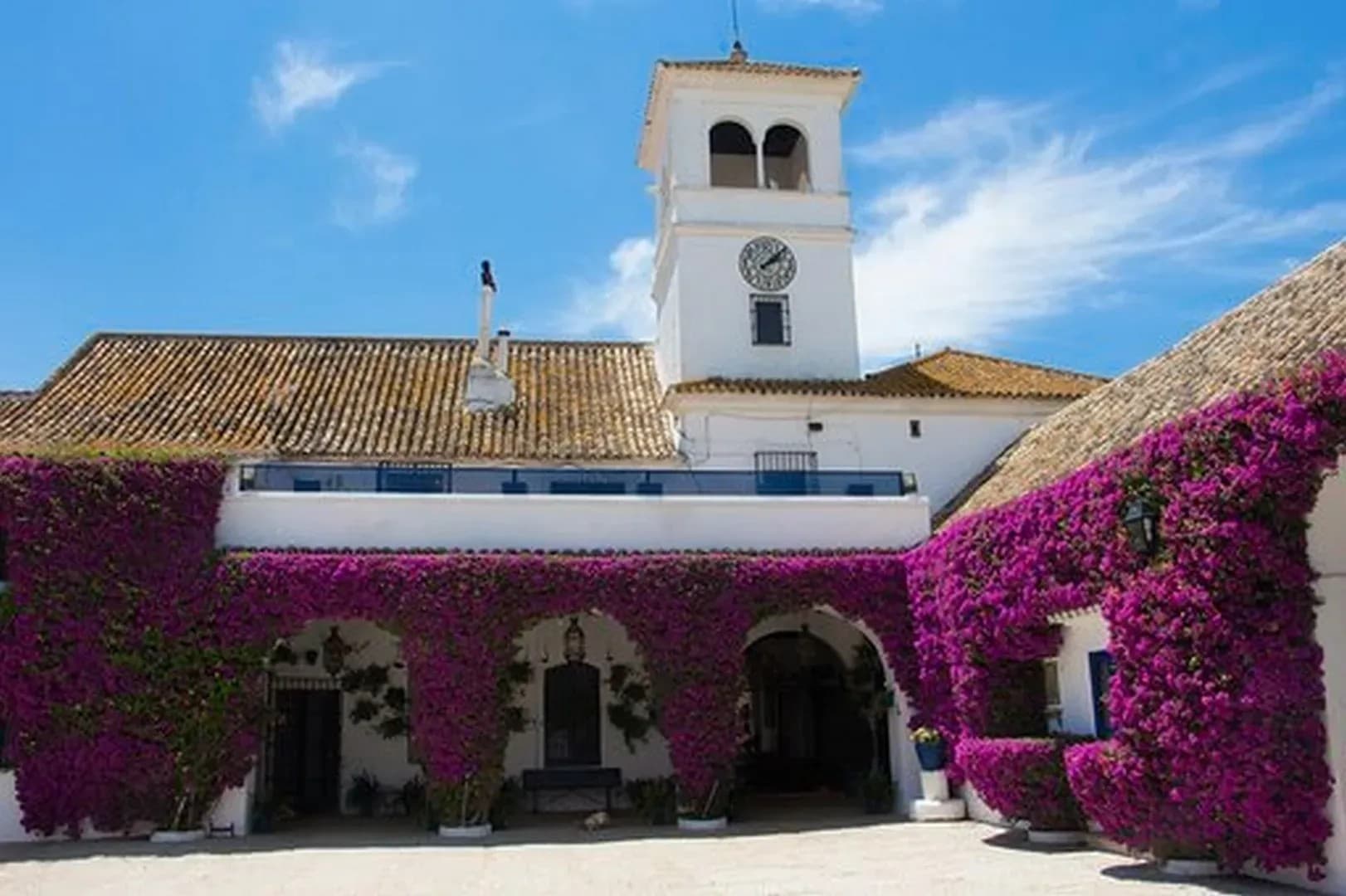 HACIENDA SAN JUAN DEL HORNILLO - imagen 6