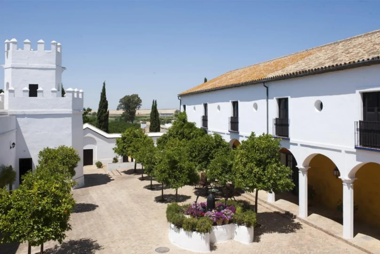 CORTIJO TORRE DE LA REINA - imagen 3