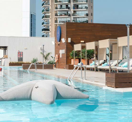 SHALLOW SUN CLUB - imagen 6