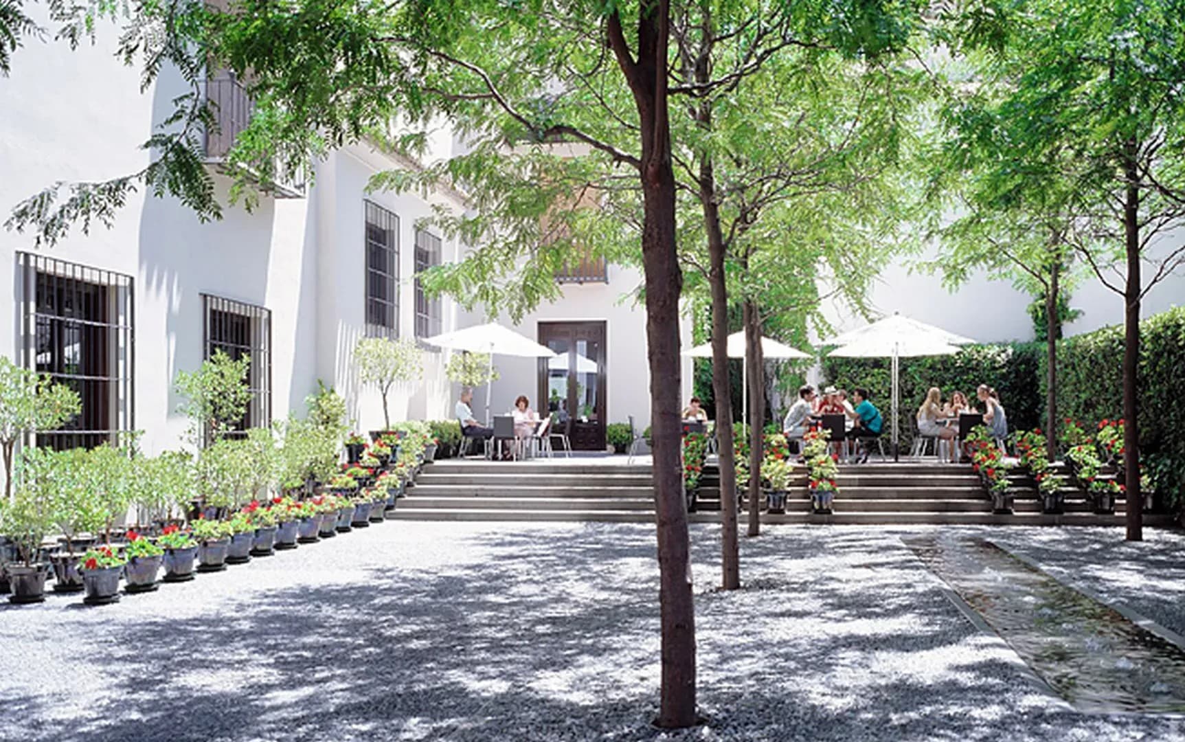 MUSEO PICASSO - imagen 24