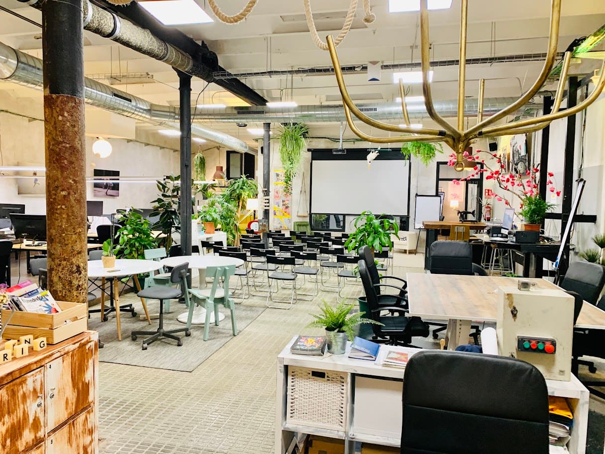 LA VACA COWORKING - SALA PRINCIPAL - imagen 6