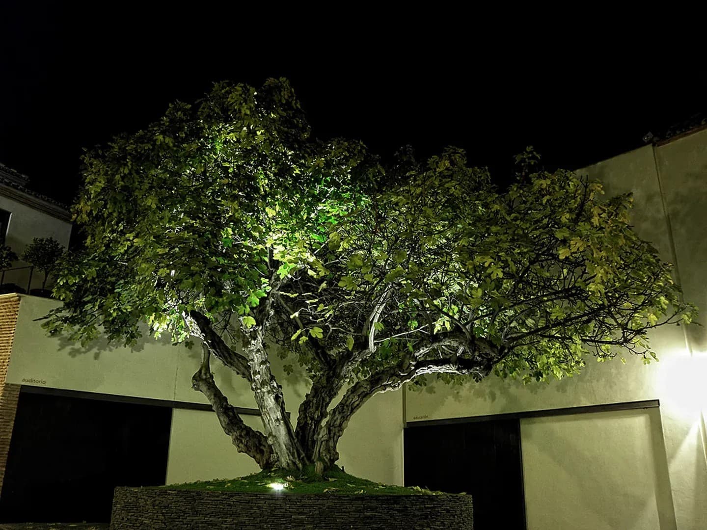 MUSEO PICASSO - imagen 23