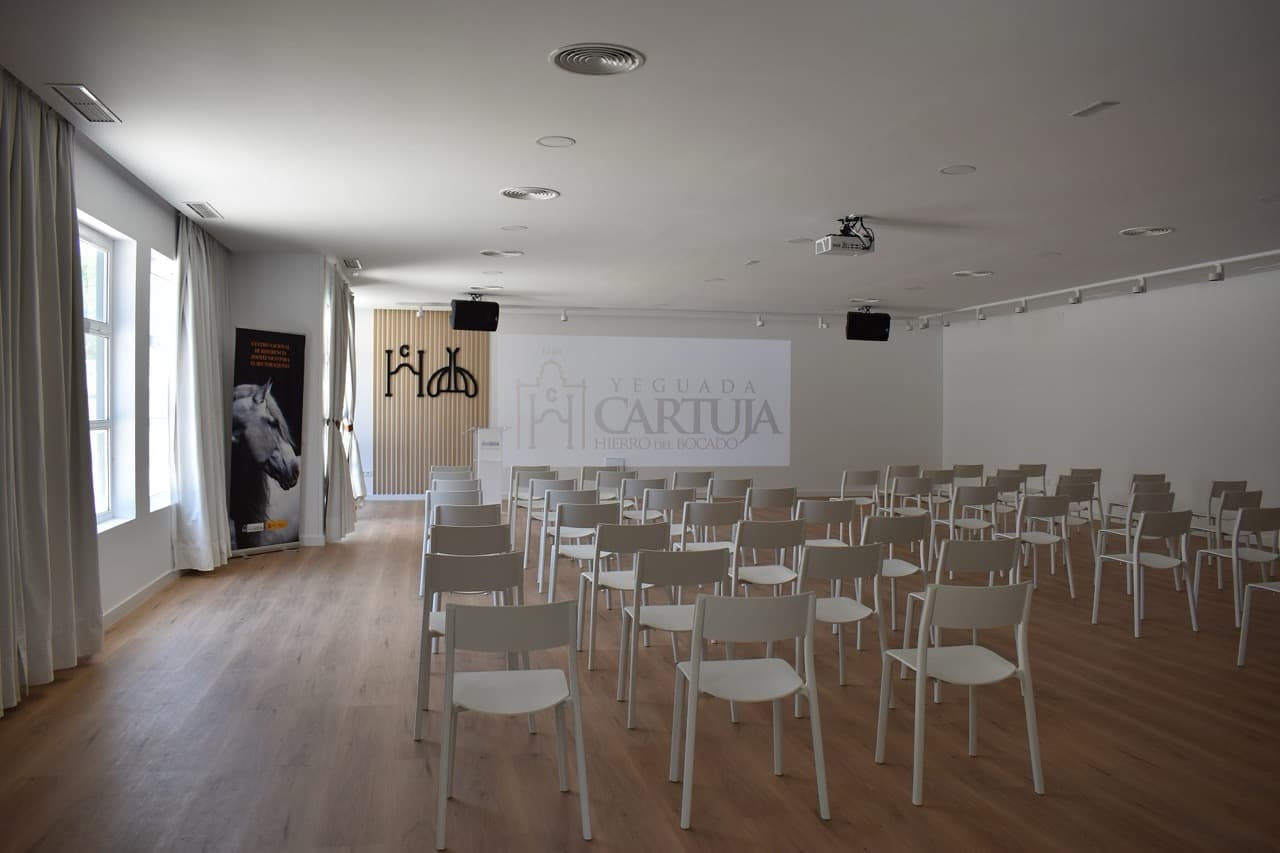 YEGUADA CARTUJA - imagen 3
