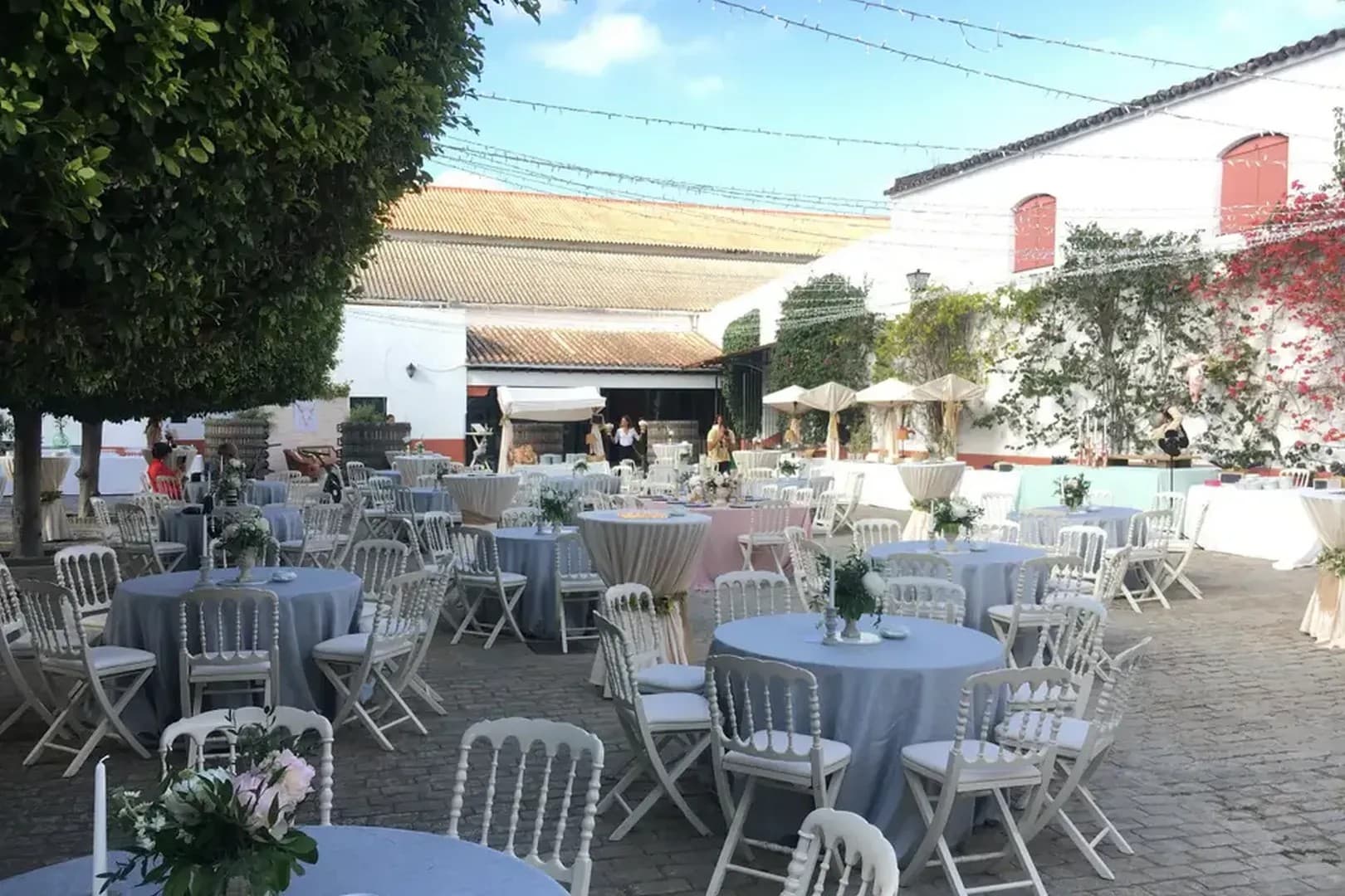 BODEGAS VELEZ - imagen 15