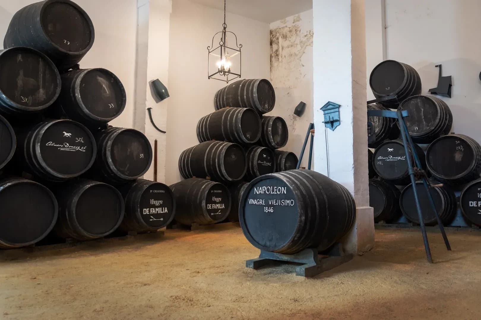 BODEGAS ALVARO DOMECQ - imagen 13