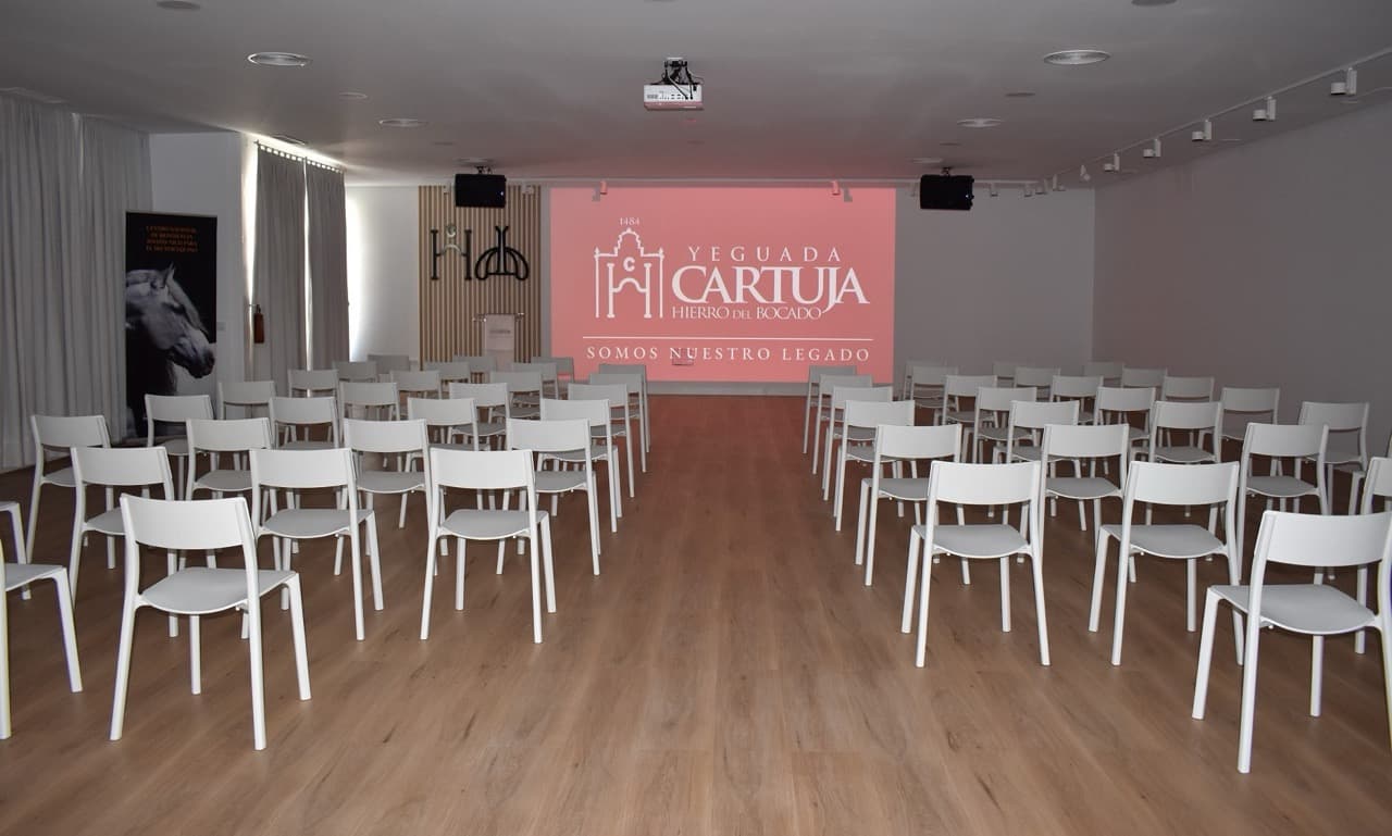 YEGUADA CARTUJA - imagen 1