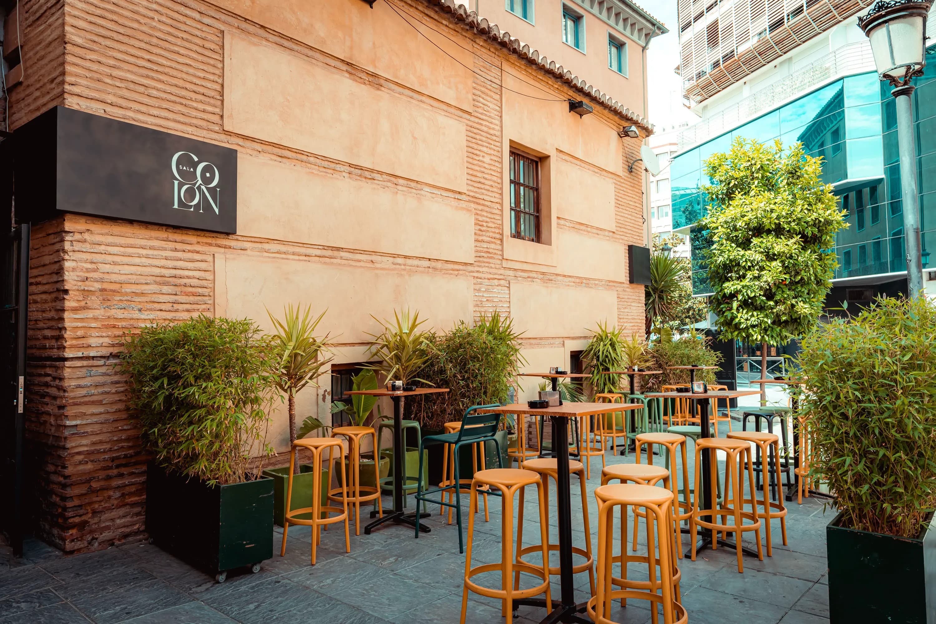 COLÓN PLAZA - imagen 15