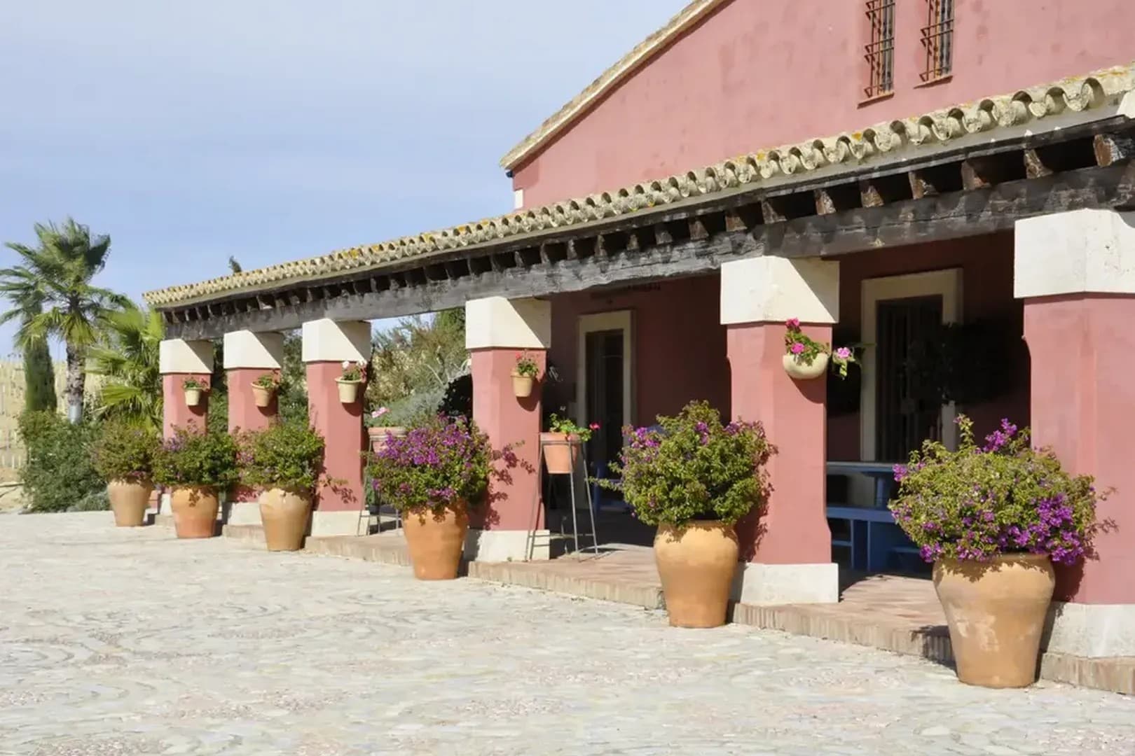 BODEGAS LUIS PEREZ - imagen 9