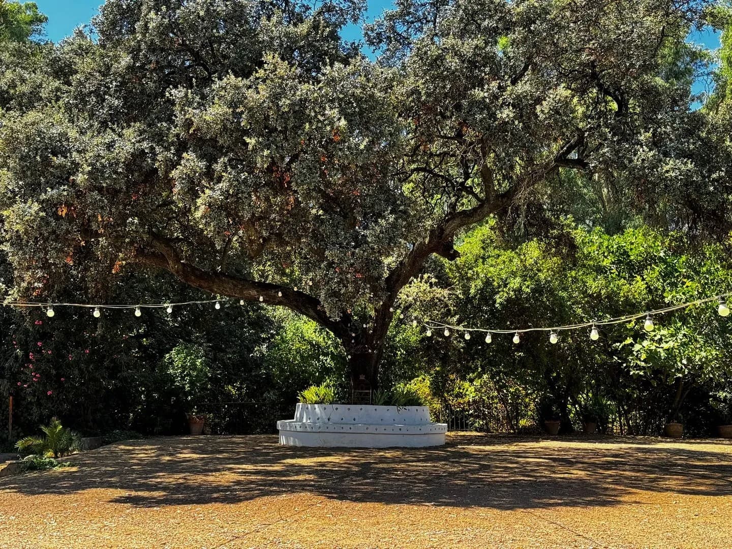 CORTIJO DE ARTAZA - imagen 19