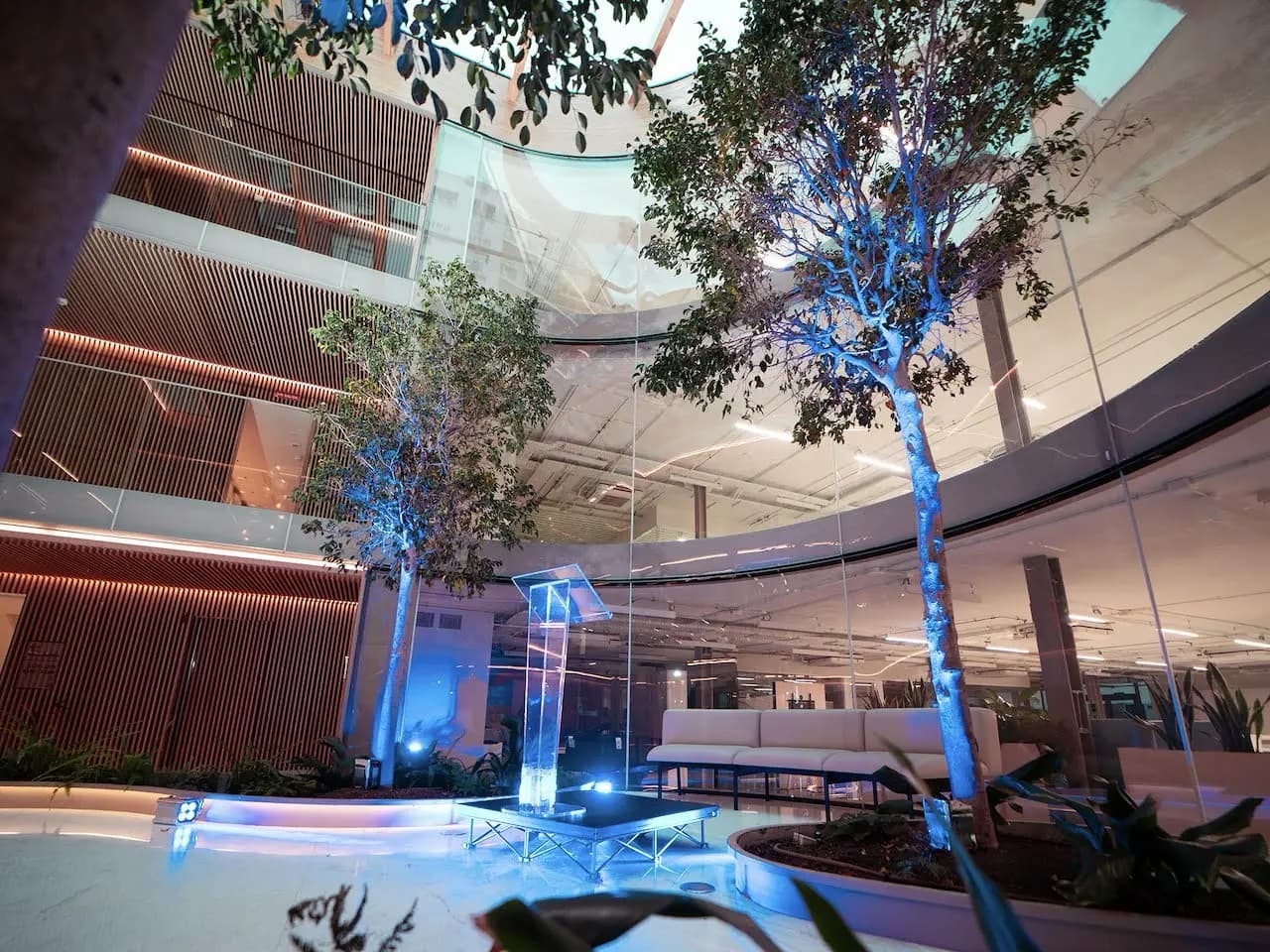 ESPACIO KOI - imagen 54