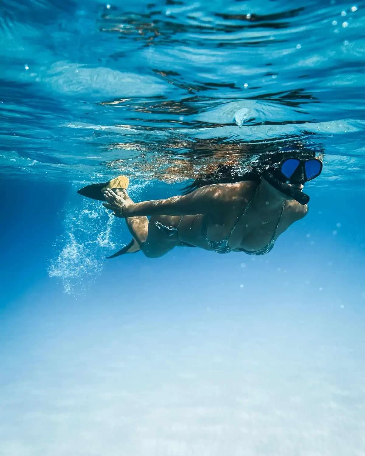 MUNDO MARINO CALPE Y ALTEA - imagen 11