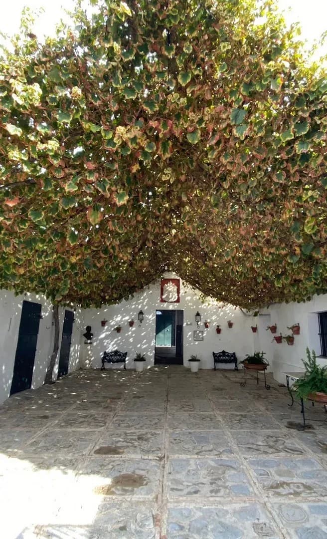 CORTIJO ESPANTA RODRIGO - imagen 12