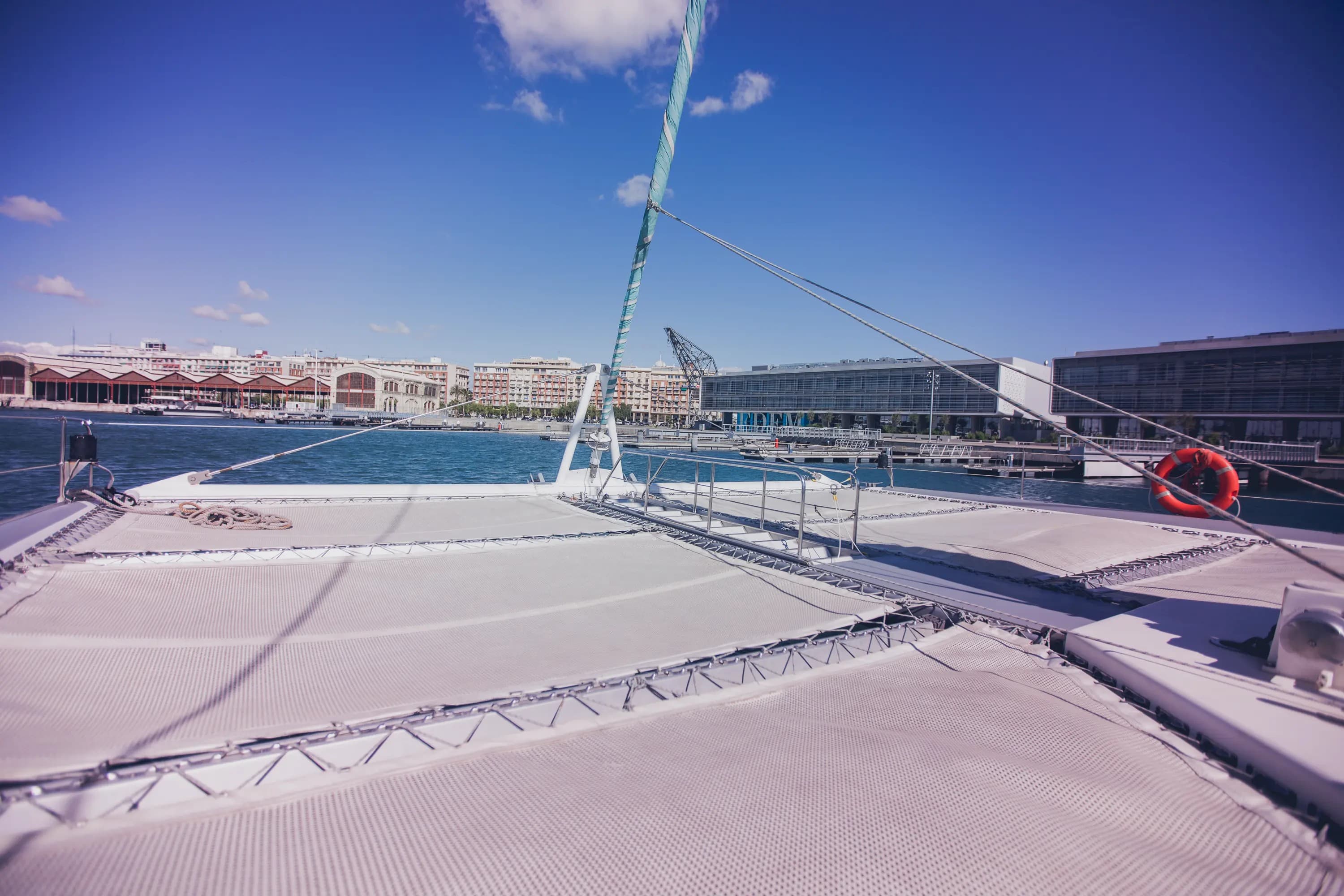 MUNDO MARINO VALENCIA  - imagen 22
