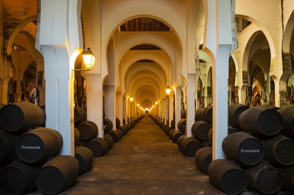 BODEGA FUNDADOR - imagen 7