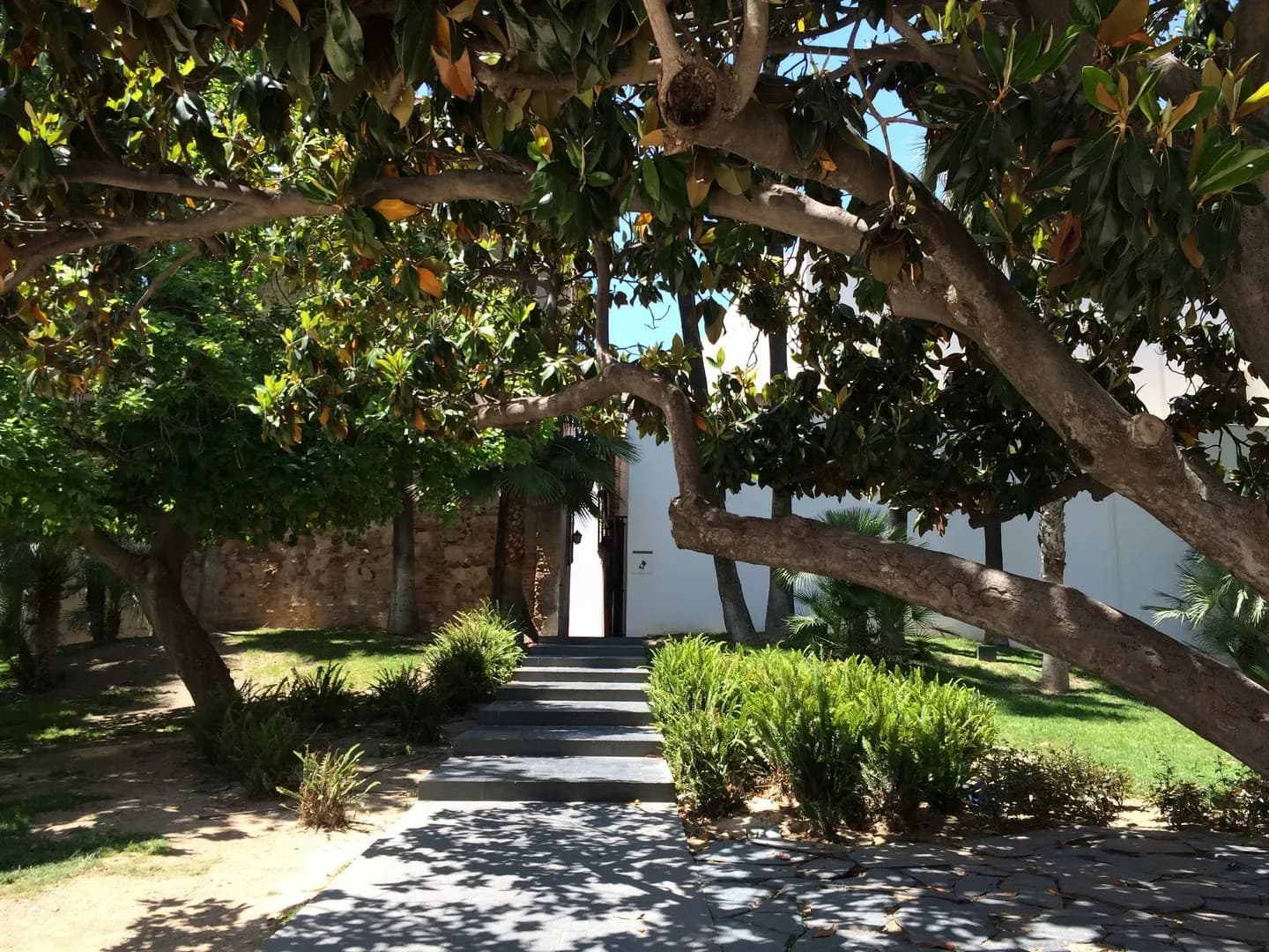 MUSEO PICASSO - imagen 25