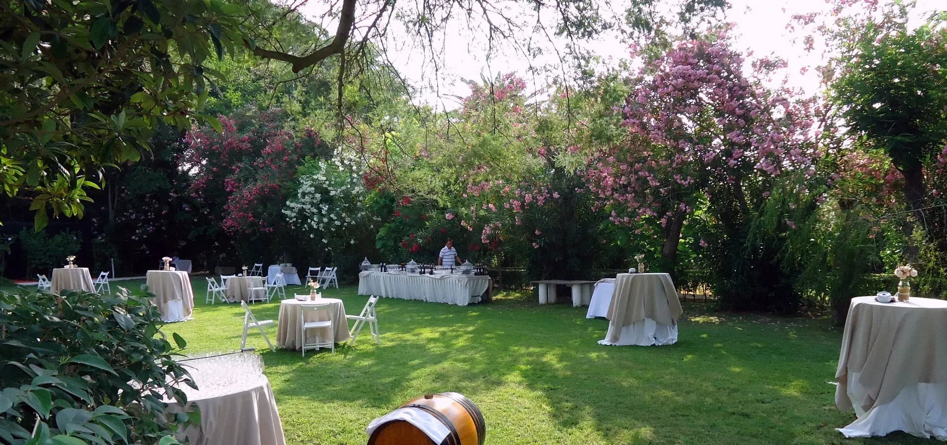 HACIENDA LA VARA - imagen 31