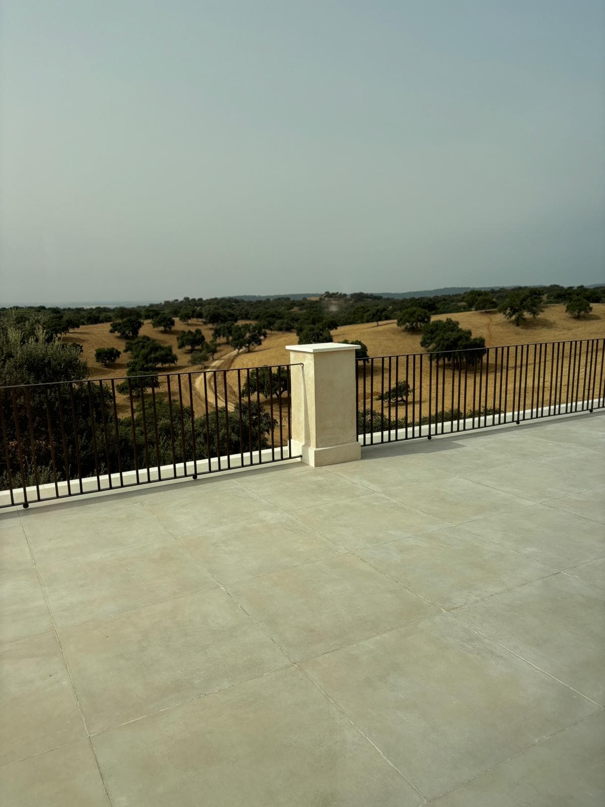 DEHESA EL ALCORNOCAL - CORDOBA - imagen 15