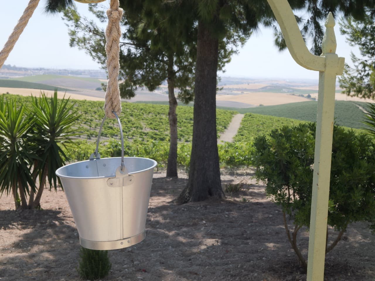 FINCA CERRO DE OBREGON - imagen 9