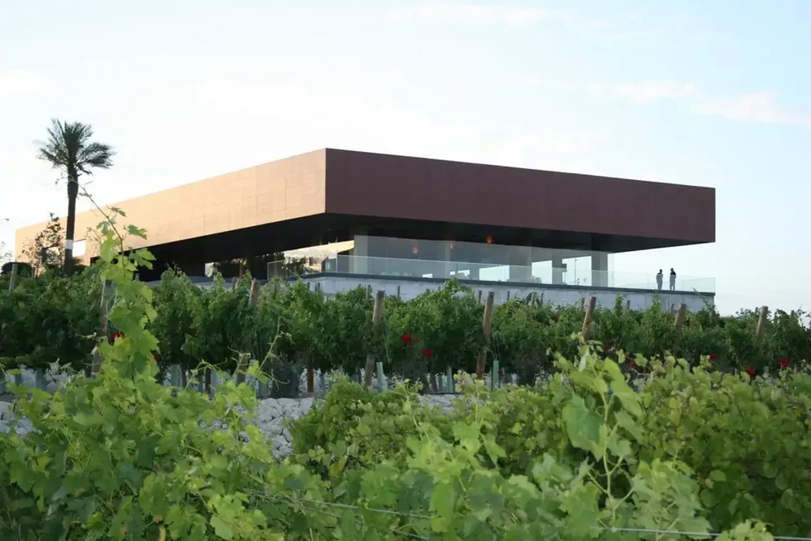 BODEGAS LUIS PEREZ - imagen 2