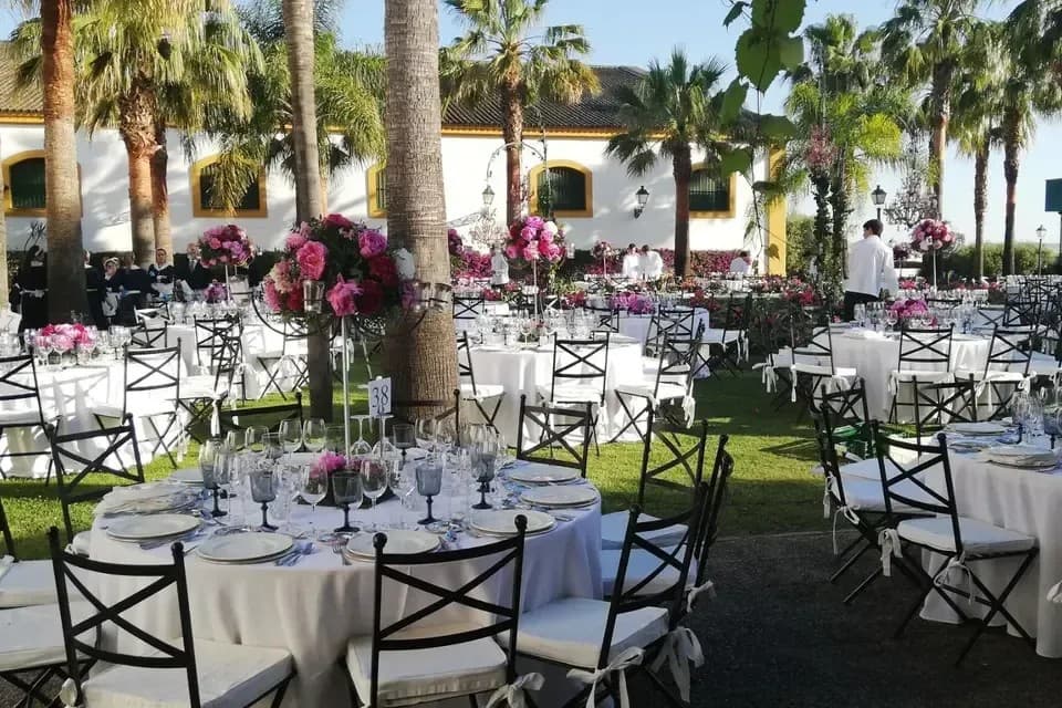 BODEGAS REAL TESORO
