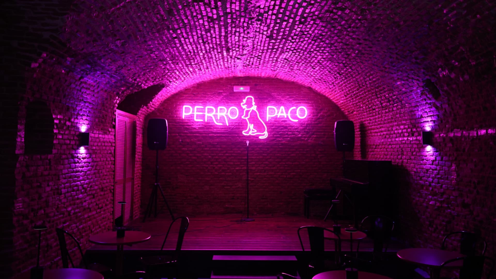 Perro Paco - Madrid - imagen 2