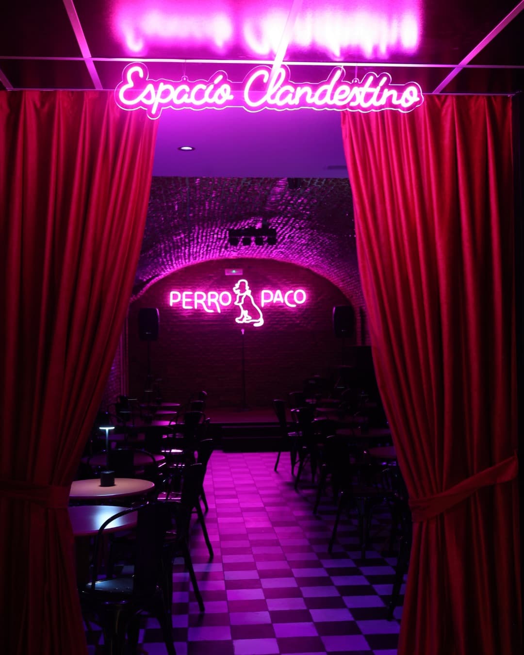 Perro Paco - Madrid - imagen 3