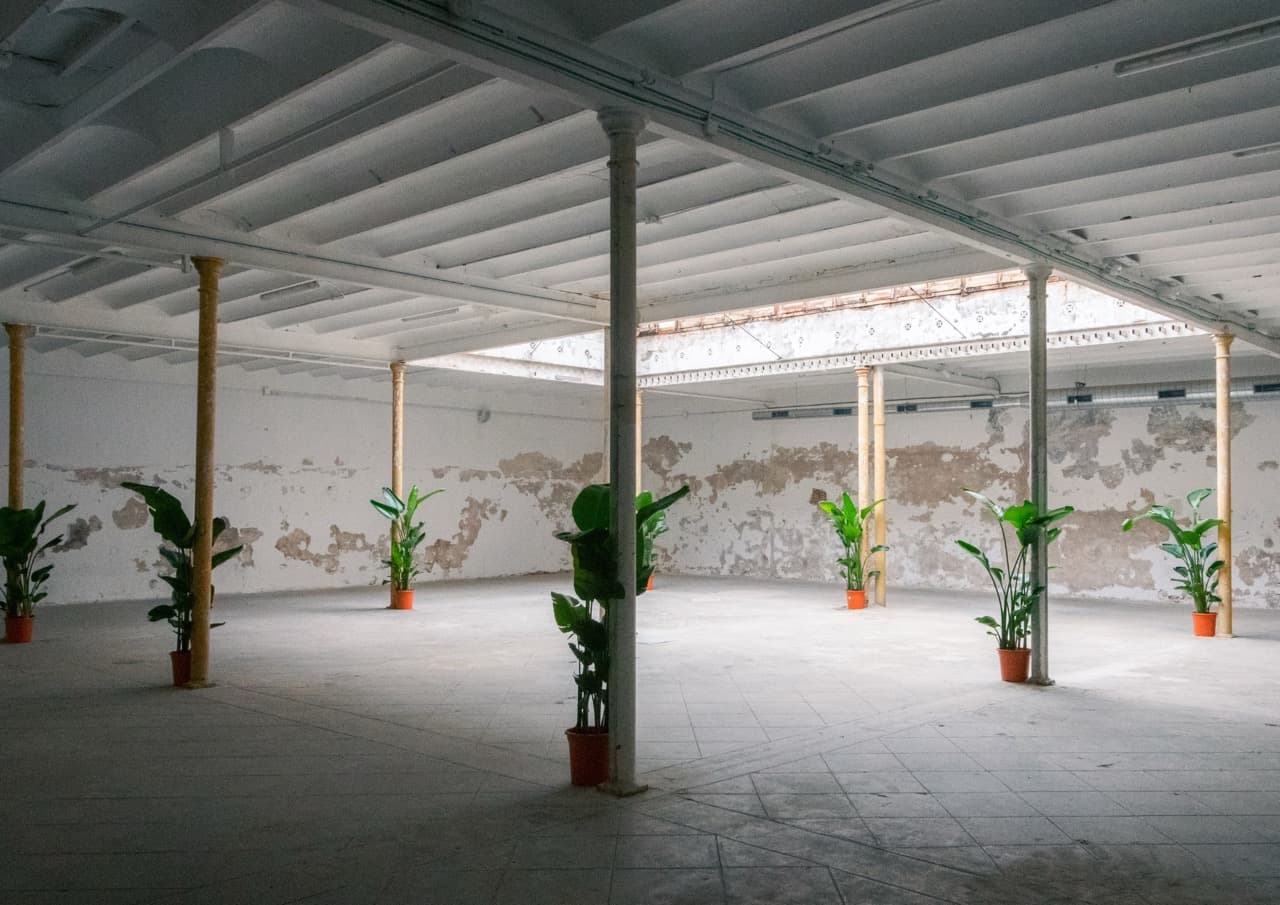 ESPAI JOSEP RIUS - CASA RIUS - imagen 4